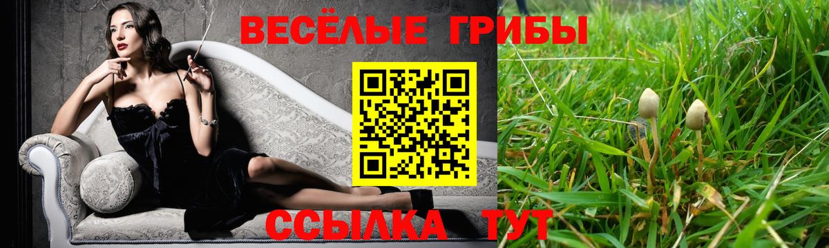 Псилоцибиновые грибы Psilocybe  Галлюциногенные грибы мицелий  Вязники  Вход с VPN 